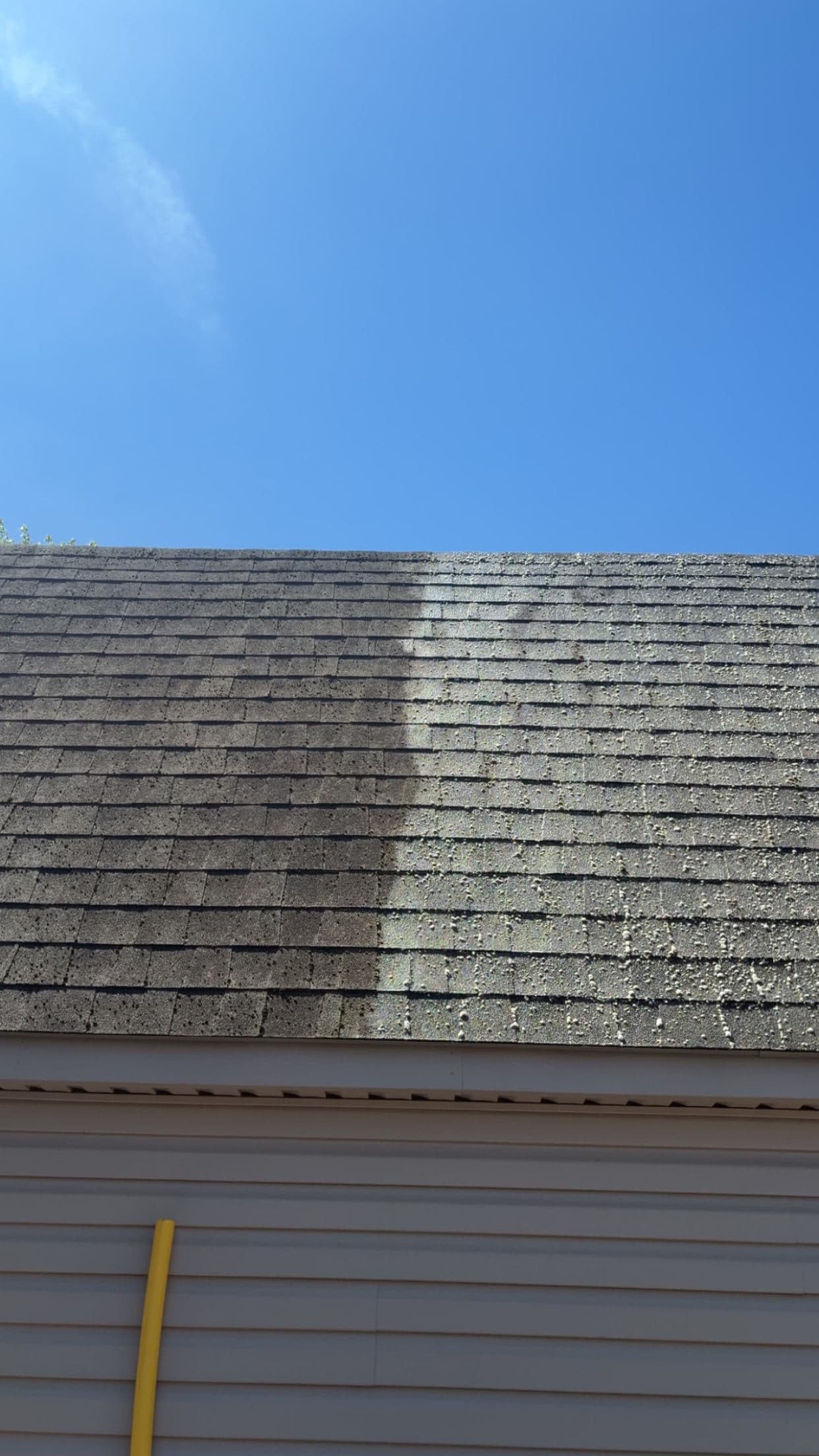 Soft Wash Your Roof Now or Pay for a New One Later image