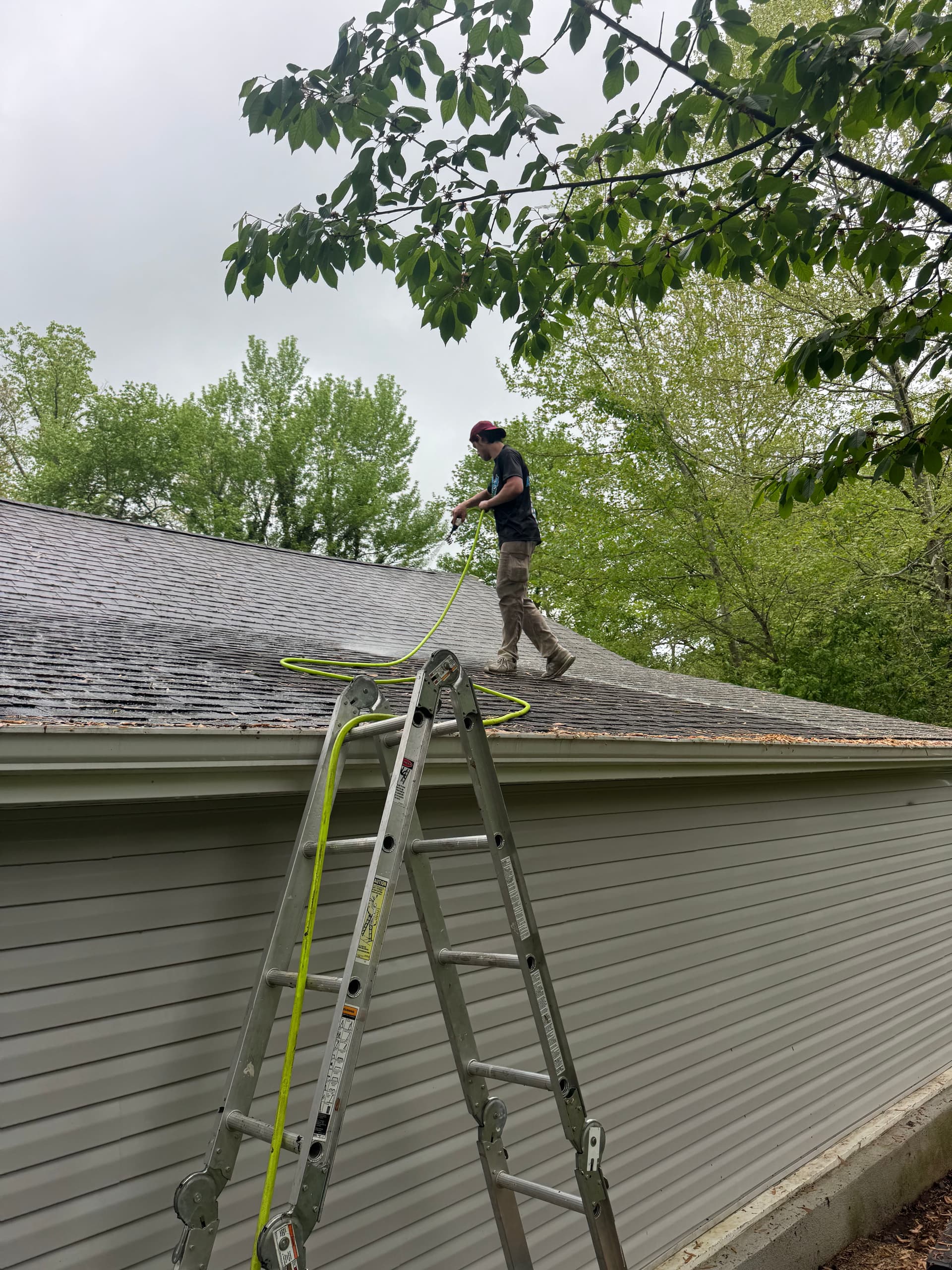 Roof Soft Washing in Horsham - Keeping Roofs Strong and Healthy image