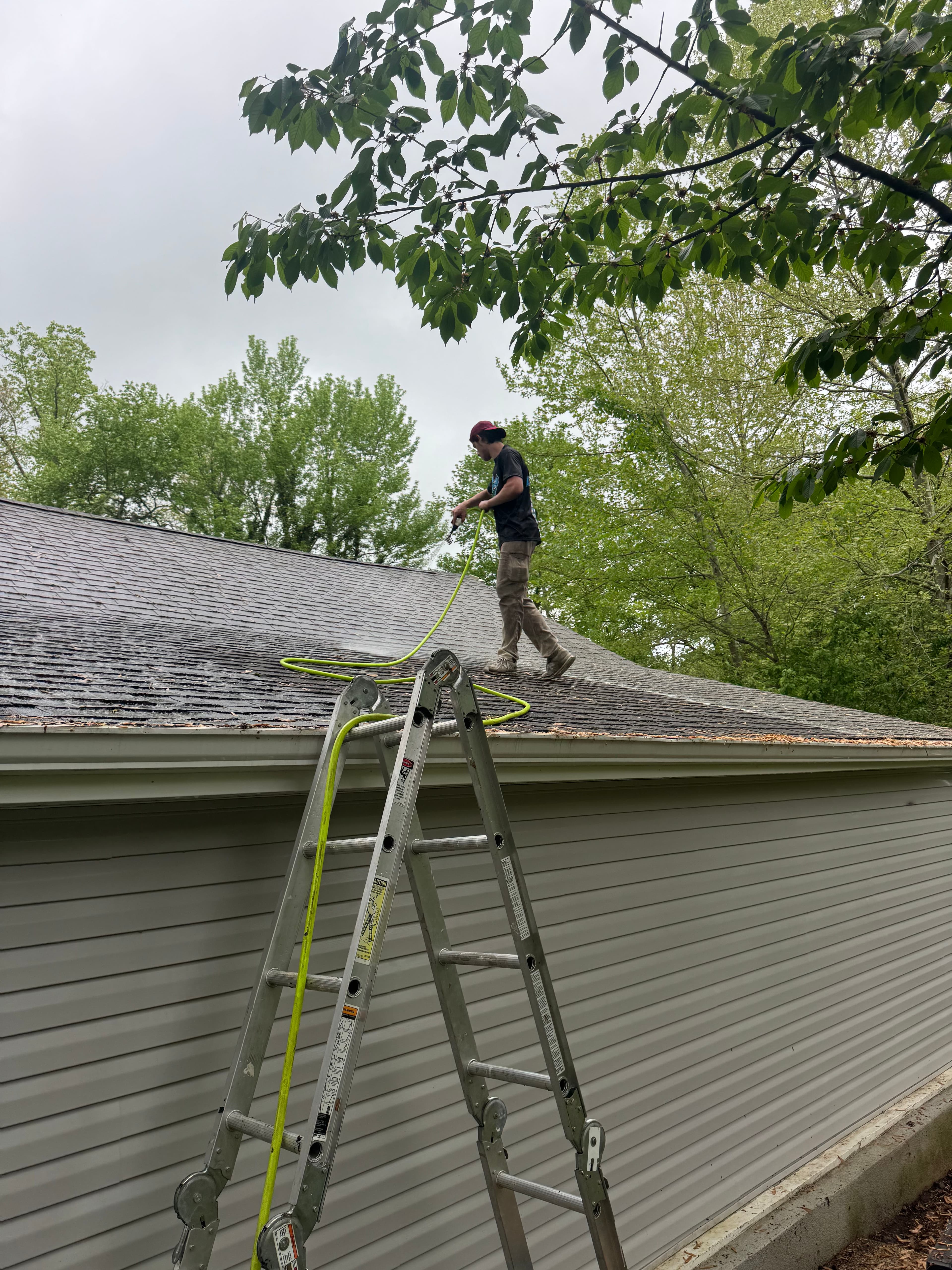 Project Roof Soft Washing in Horsham - Keeping Roofs Strong and Healthy image