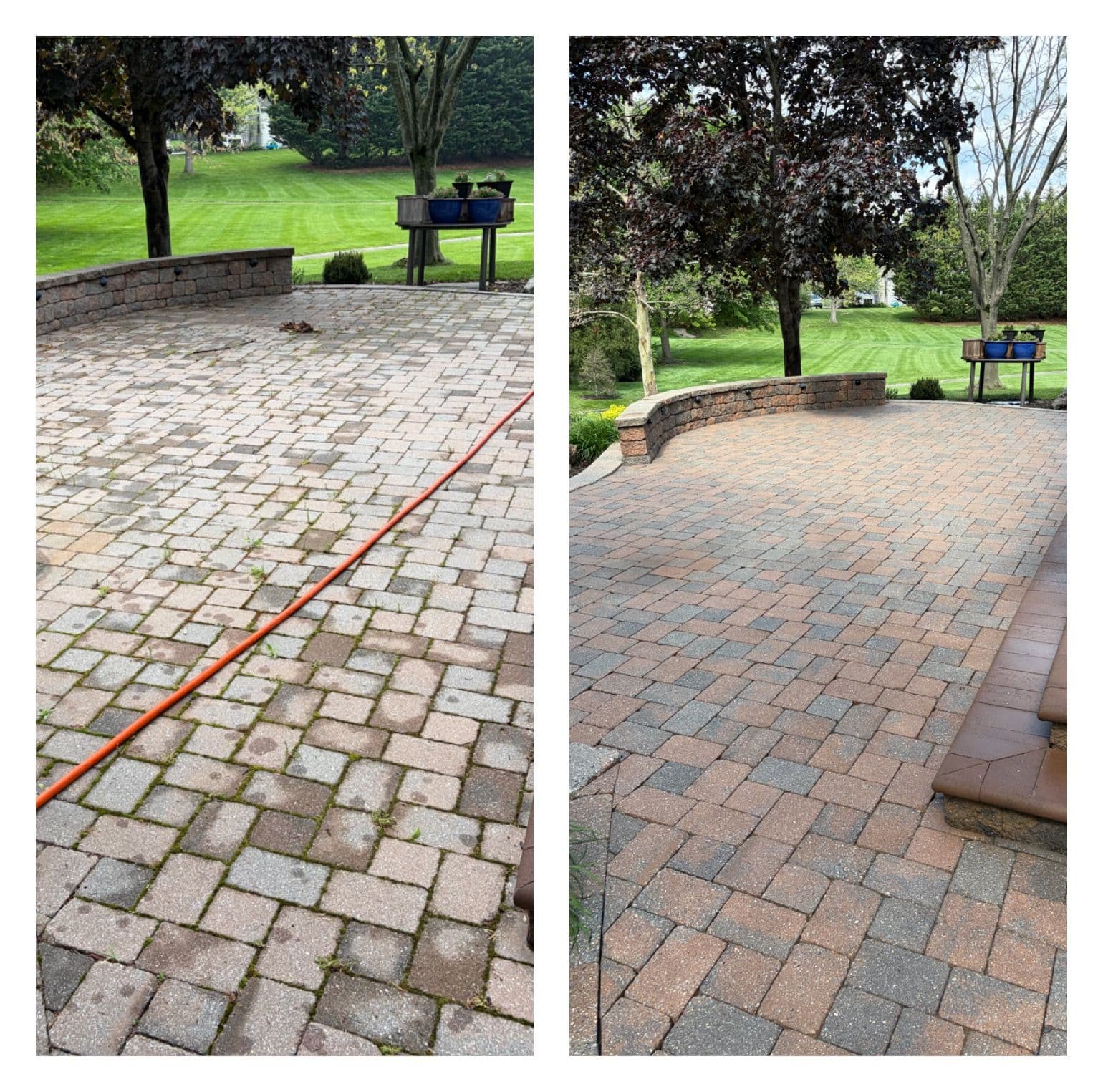 Full Paver Patio Restoration With Deep Clean and Re-Sanding image